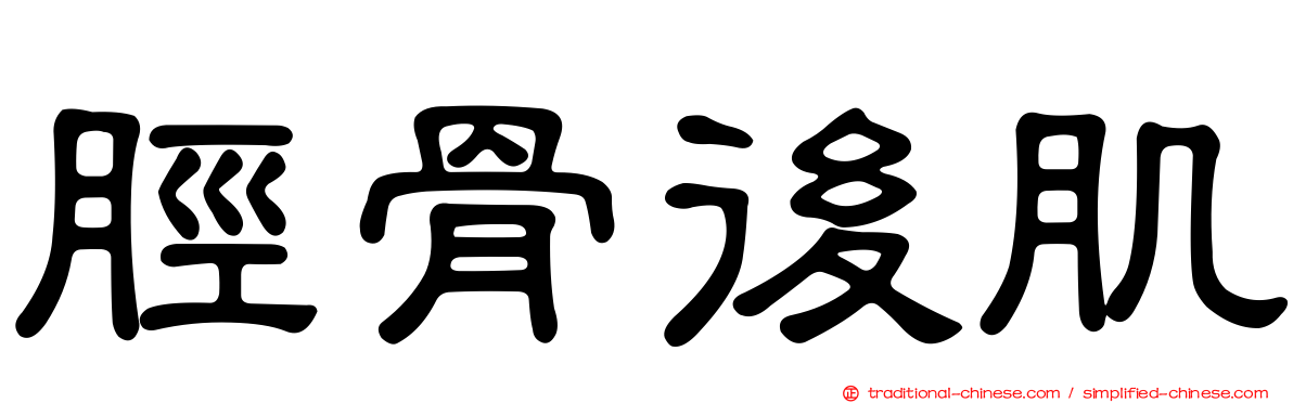 脛骨後肌