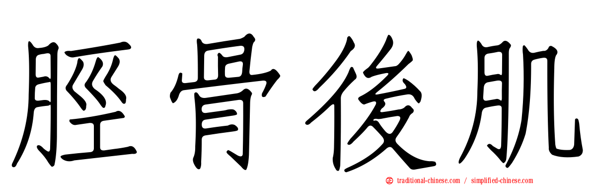 脛骨後肌
