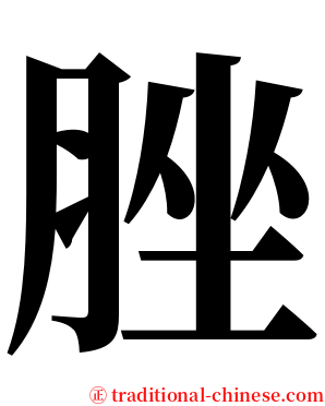 脞 serif font