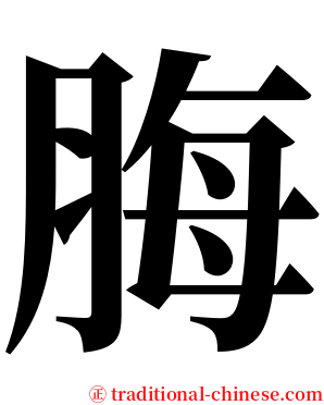 脢 serif font