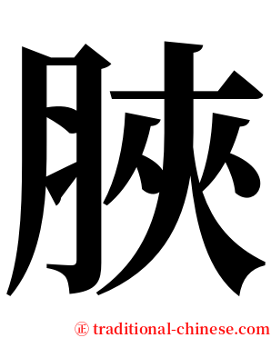 脥 serif font