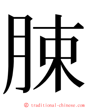 脨 ming font