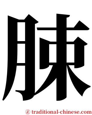 脨 serif font