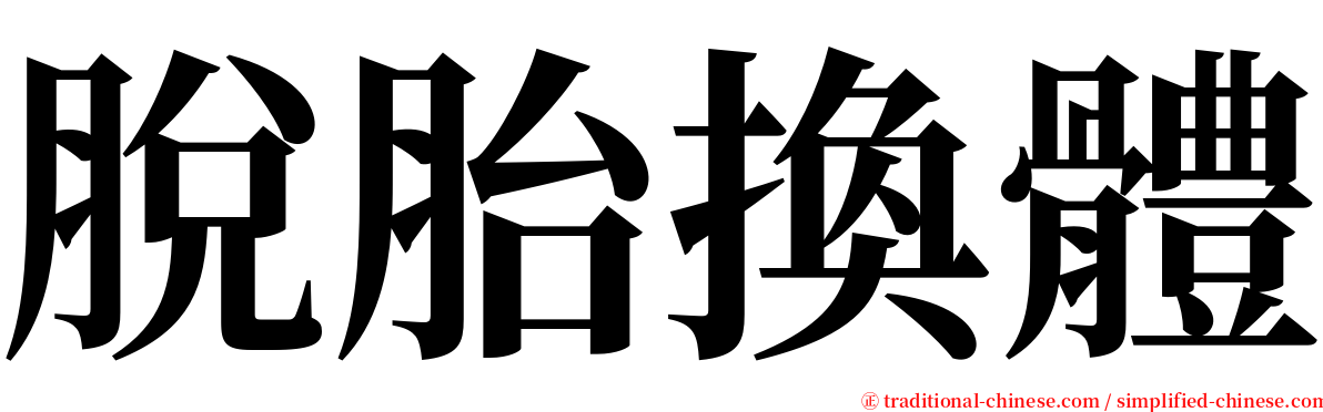 脫胎換體 serif font