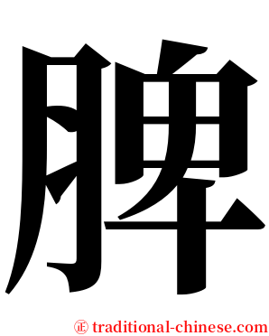 脾 serif font