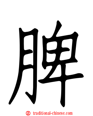 脾
