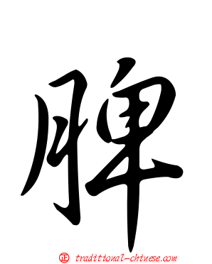 脾