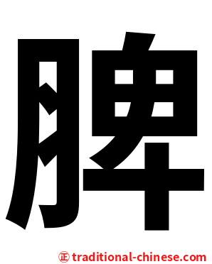 脾