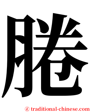 腃 serif font