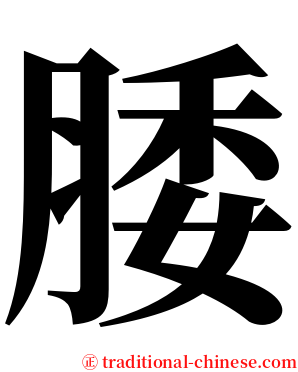 腇 serif font