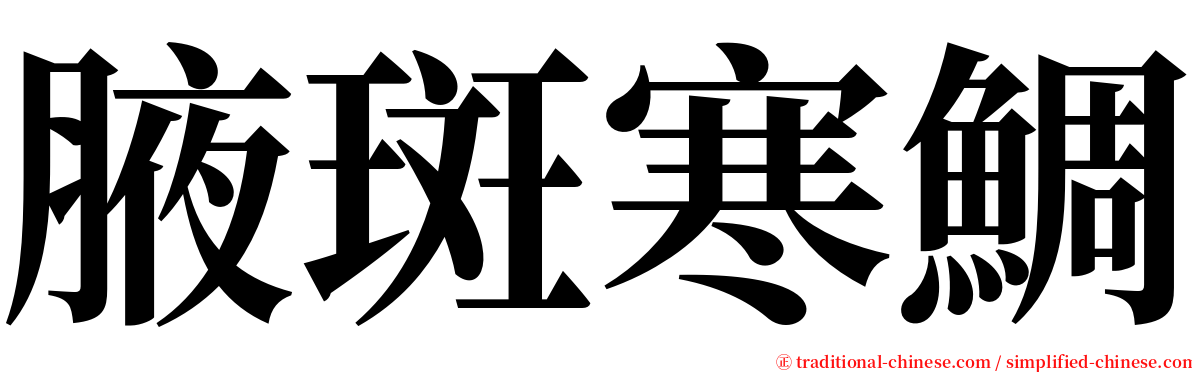 腋斑寒鯛 serif font