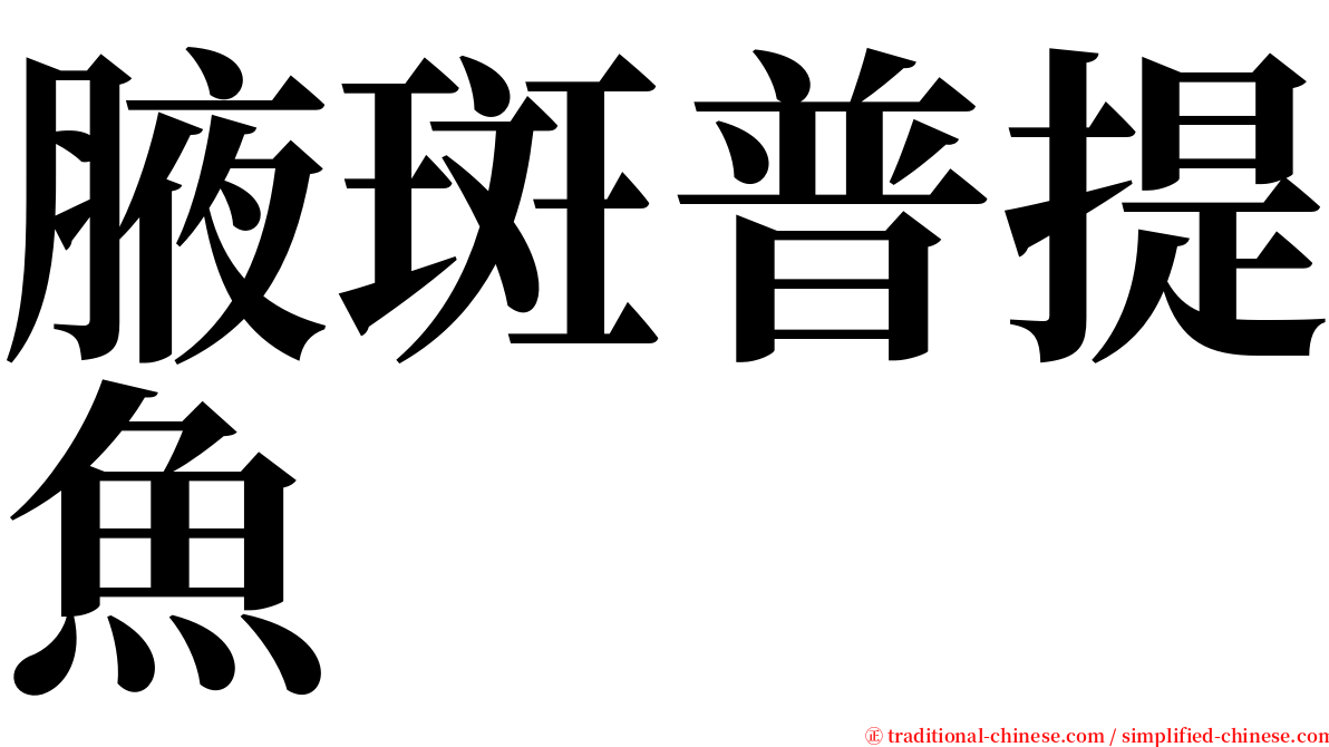 腋斑普提魚 serif font