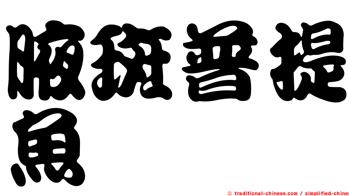 腋斑普提魚
