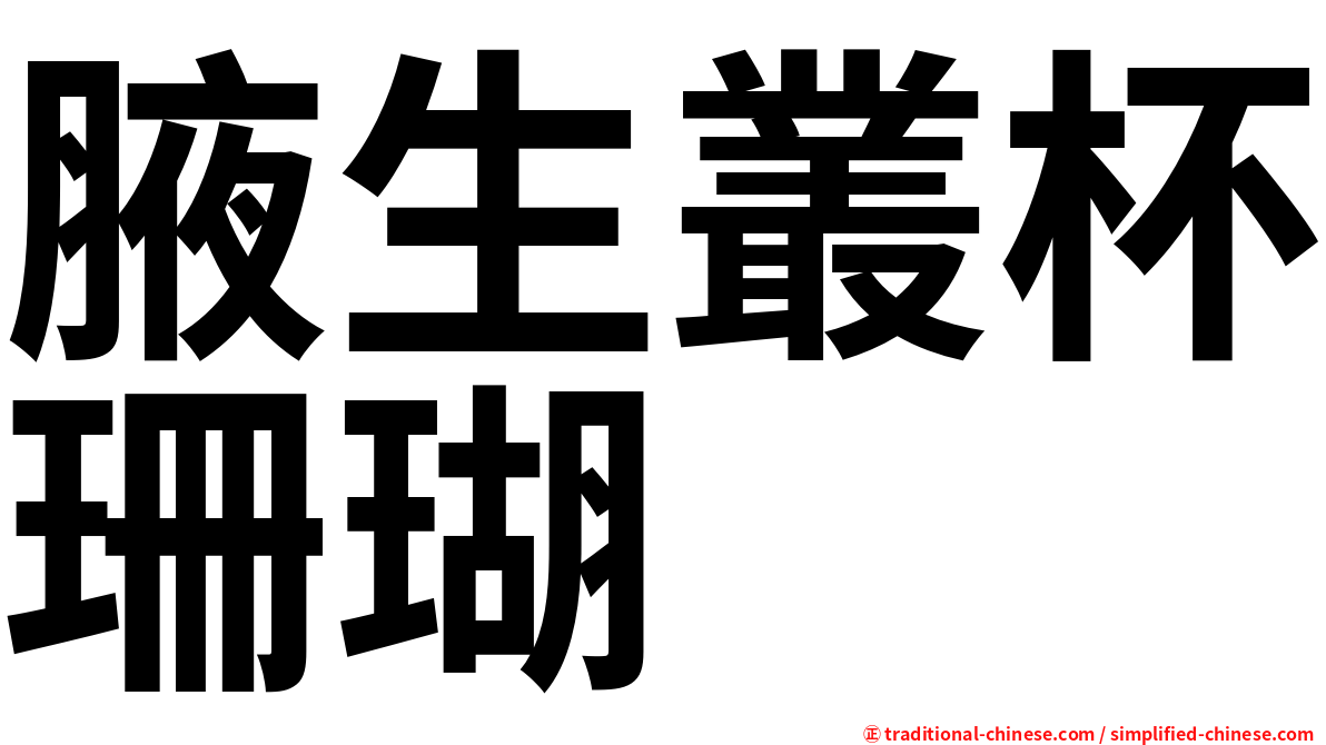 腋生叢杯珊瑚