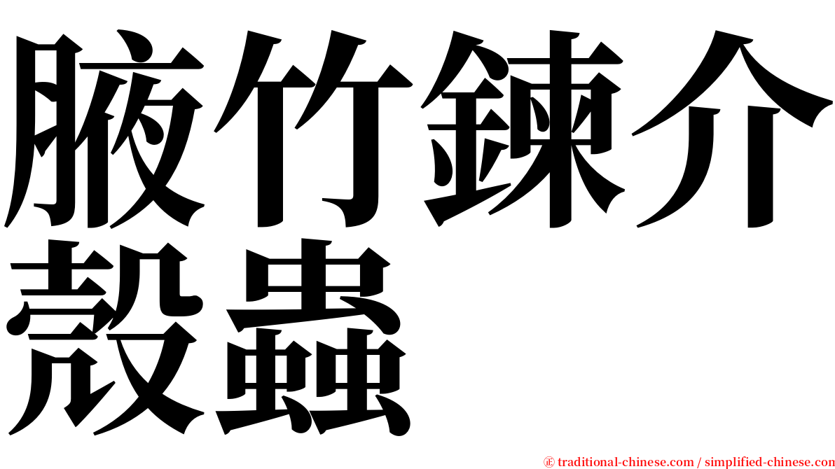腋竹鍊介殼蟲 serif font