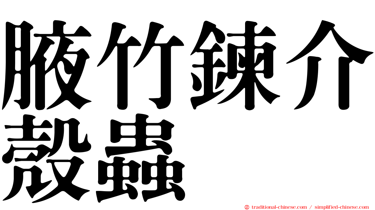 腋竹鍊介殼蟲