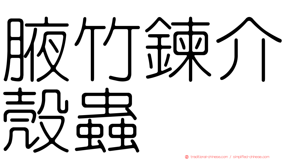 腋竹鍊介殼蟲
