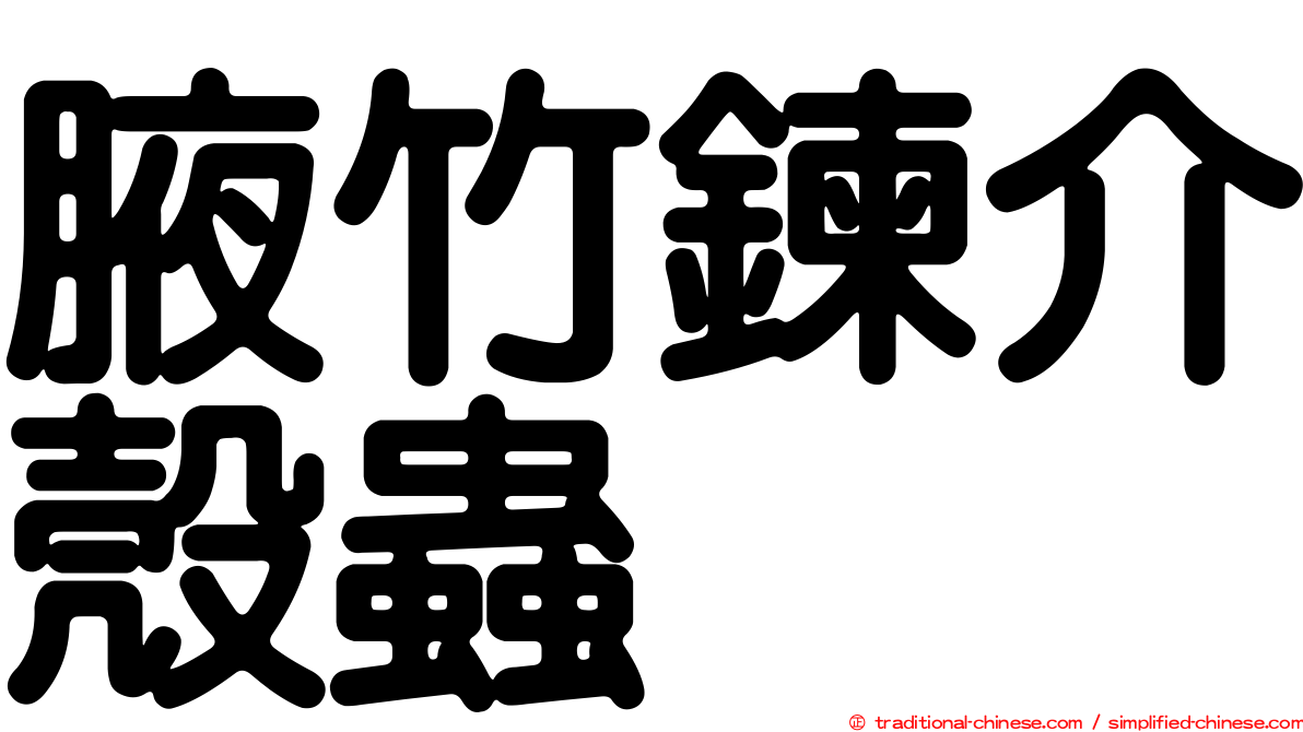 腋竹鍊介殼蟲