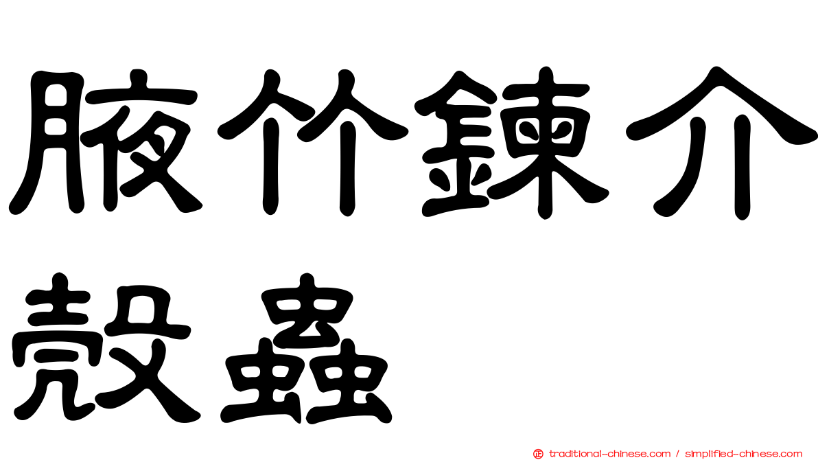 腋竹鍊介殼蟲