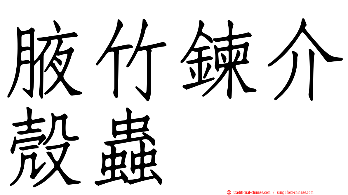 腋竹鍊介殼蟲
