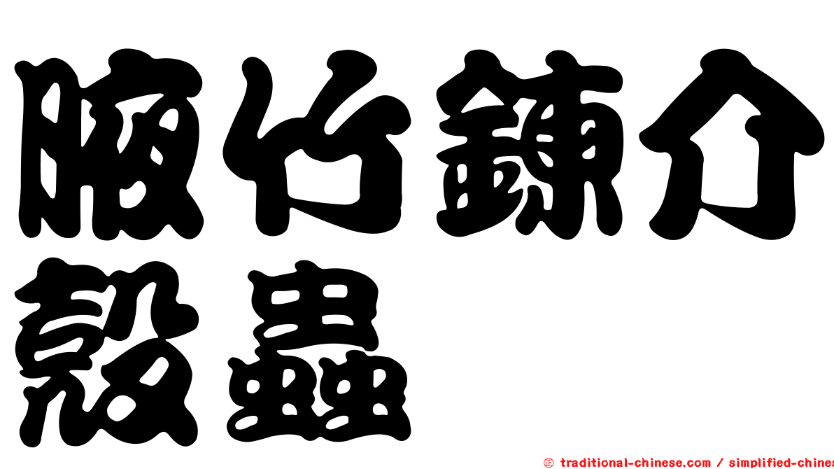 腋竹鍊介殼蟲
