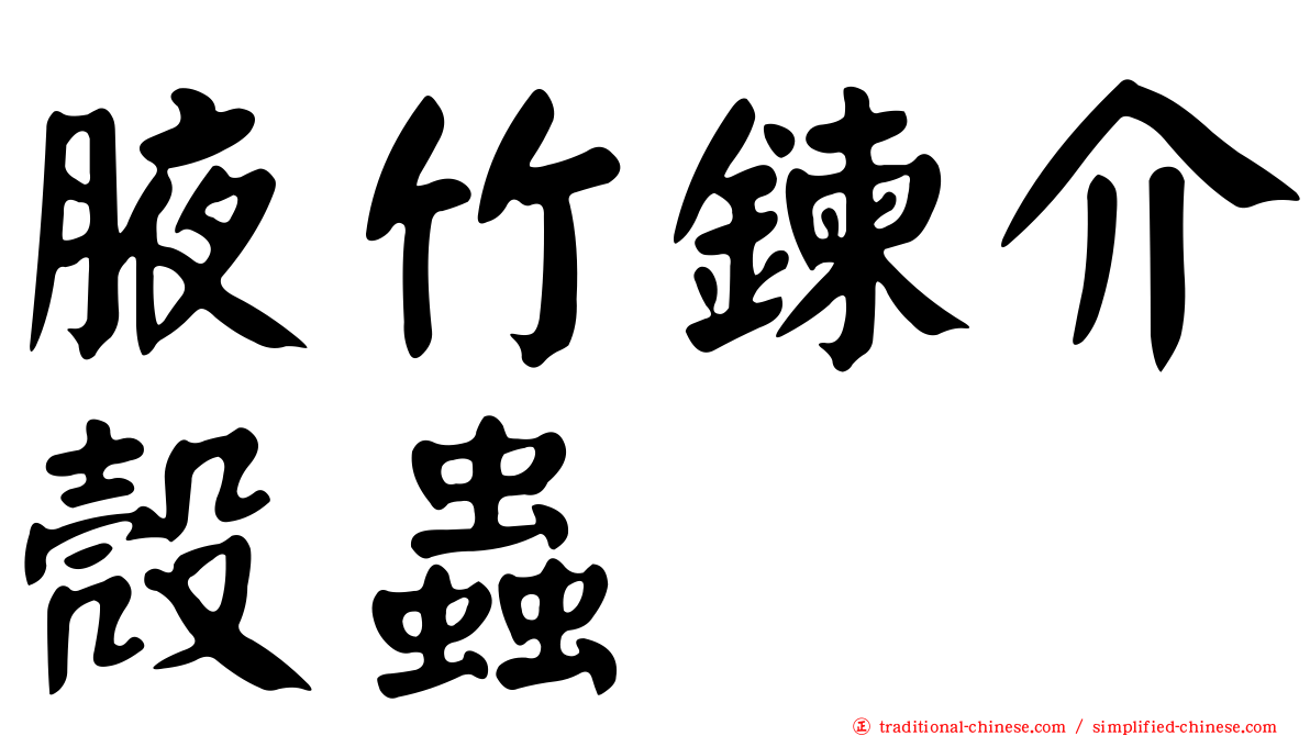 腋竹鍊介殼蟲