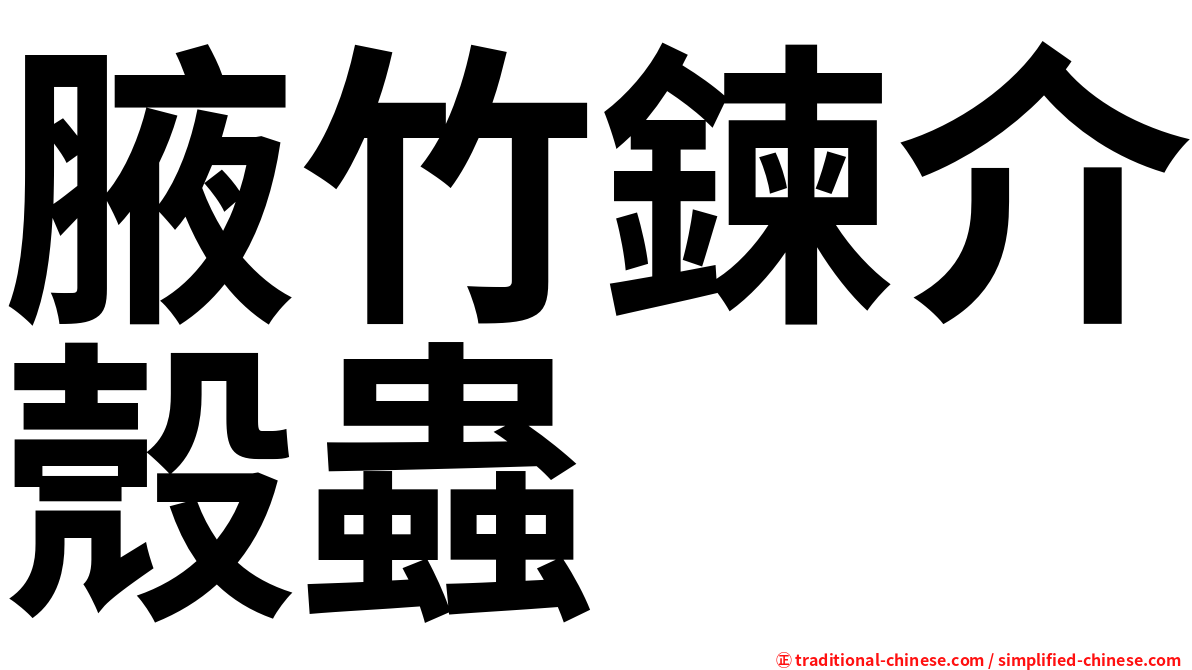 腋竹鍊介殼蟲
