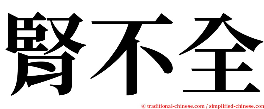 腎不全 serif font