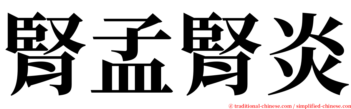 腎孟腎炎 serif font