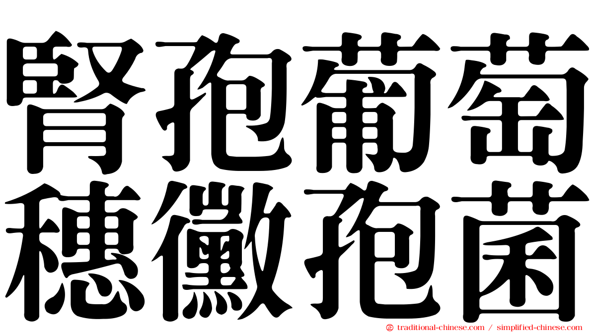 腎孢葡萄穗黴孢菌