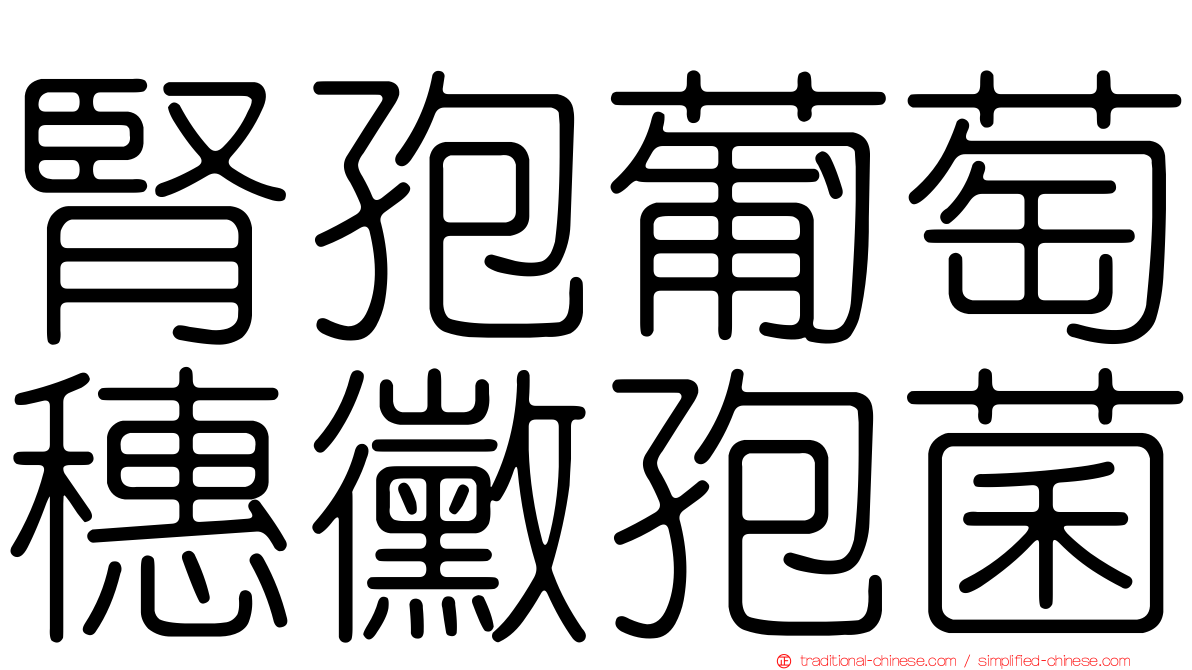 腎孢葡萄穗黴孢菌