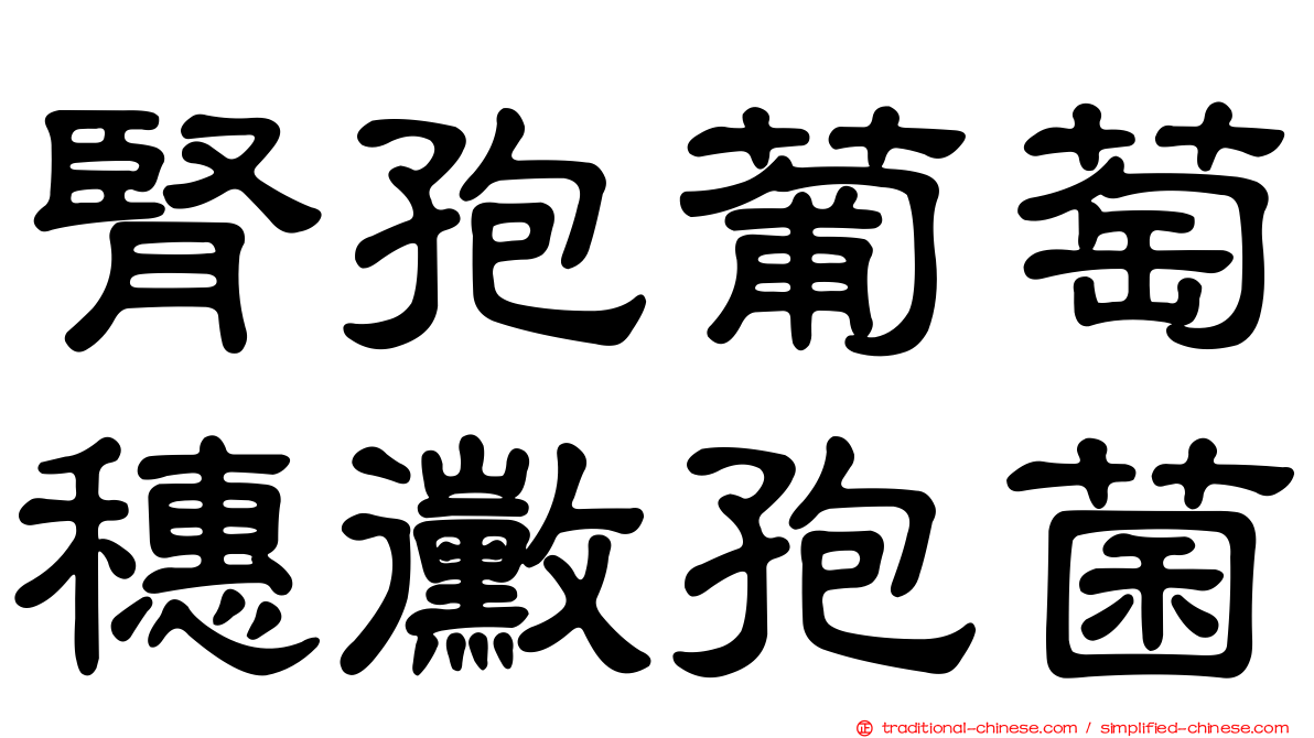 腎孢葡萄穗黴孢菌