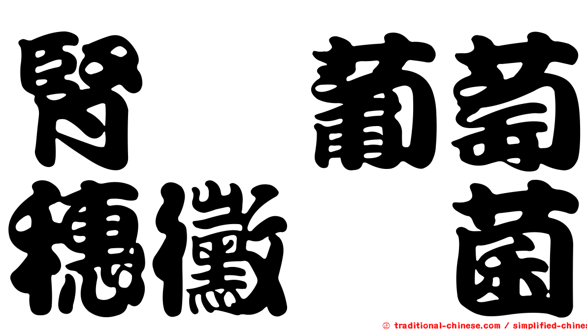腎孢葡萄穗黴孢菌