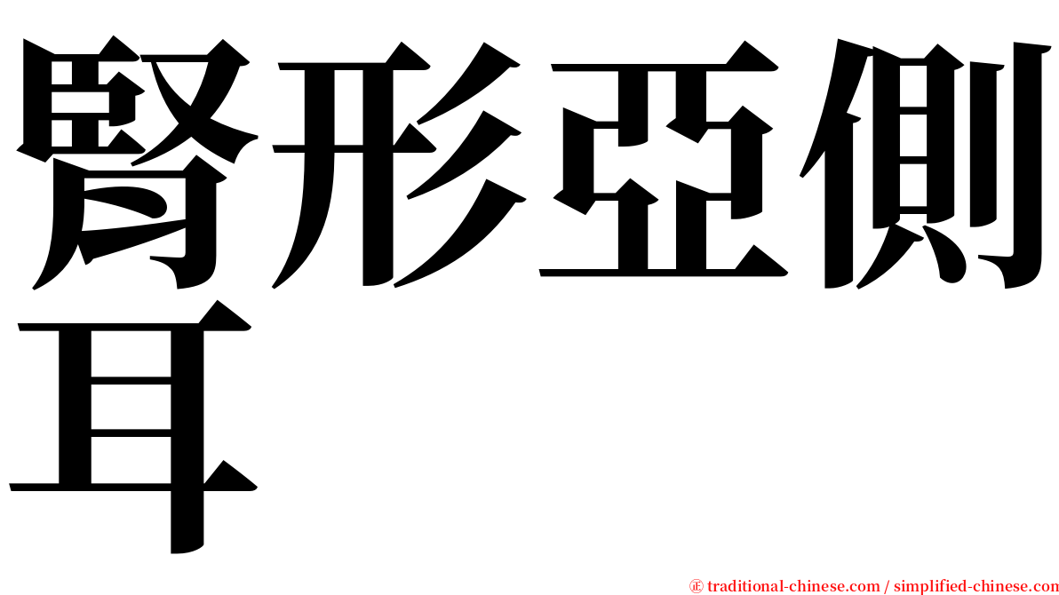 腎形亞側耳 serif font