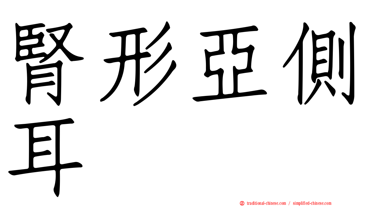 腎形亞側耳
