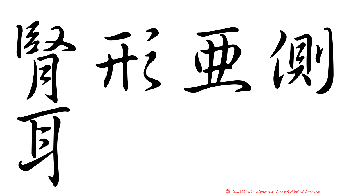 腎形亞側耳