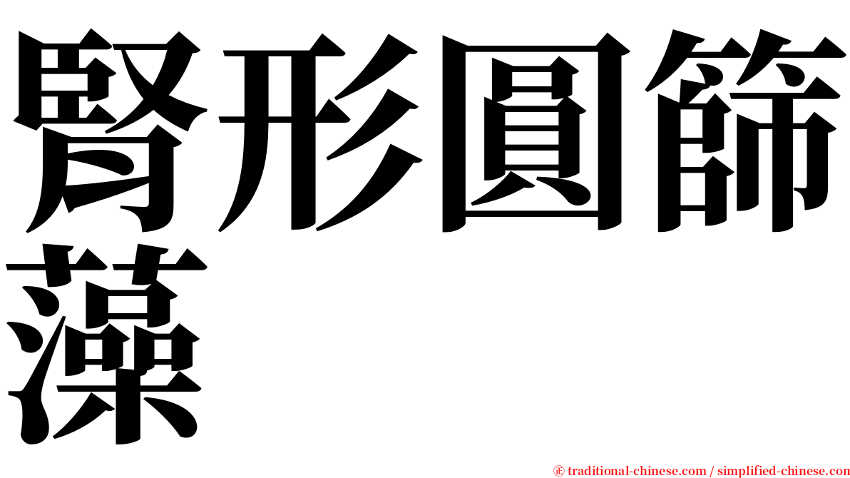 腎形圓篩藻 serif font
