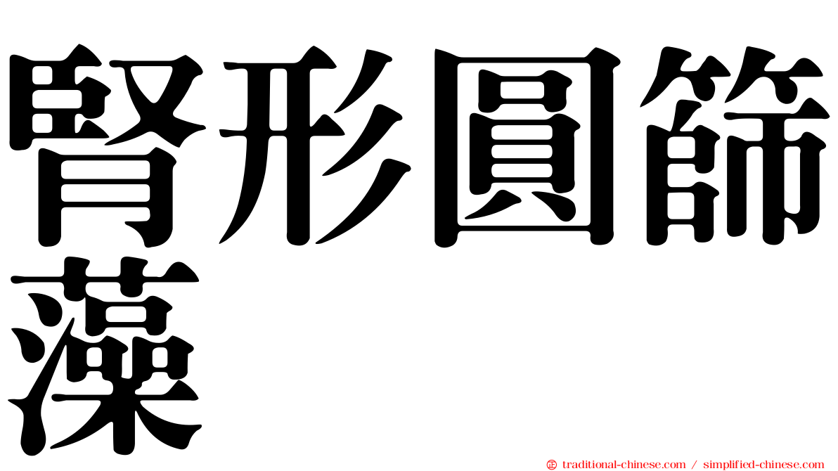 腎形圓篩藻