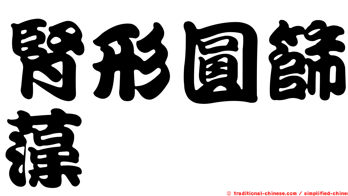 腎形圓篩藻