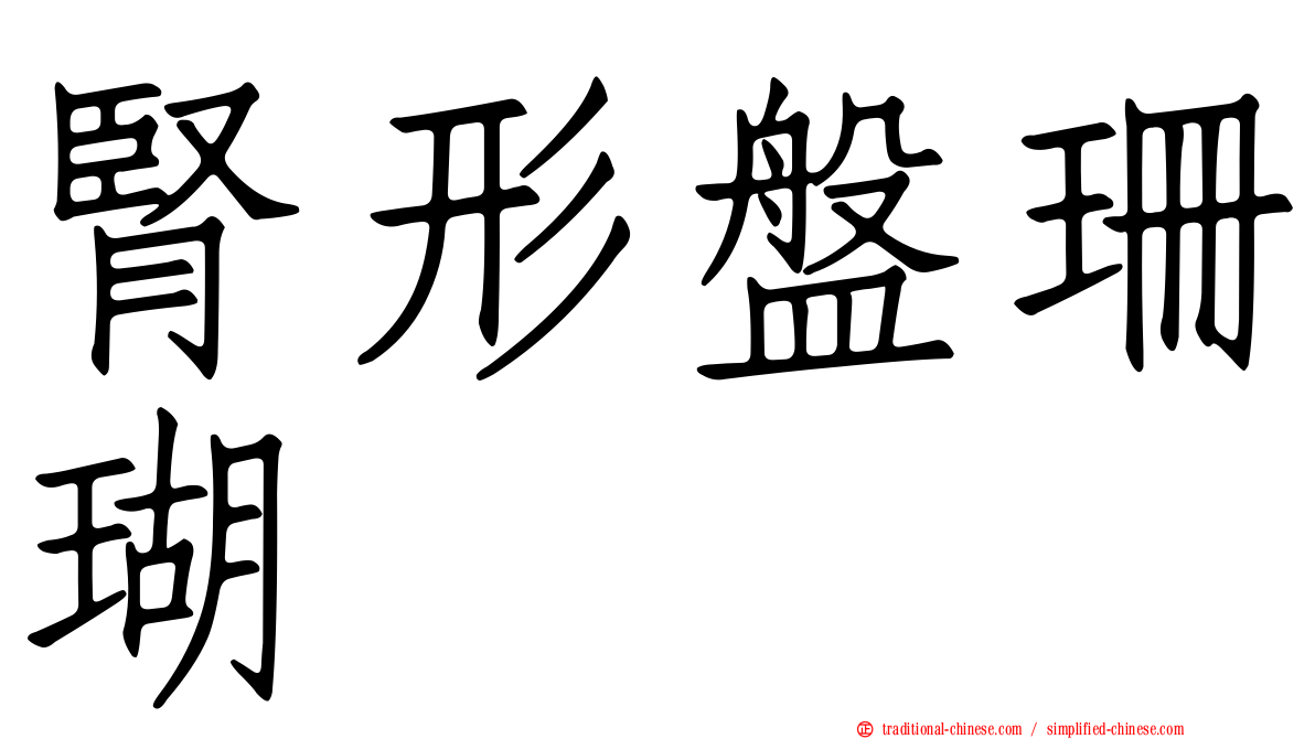 腎形盤珊瑚