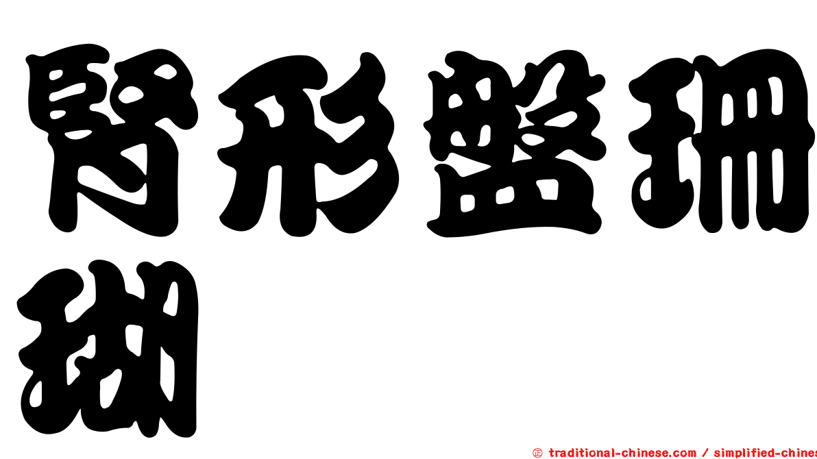 腎形盤珊瑚
