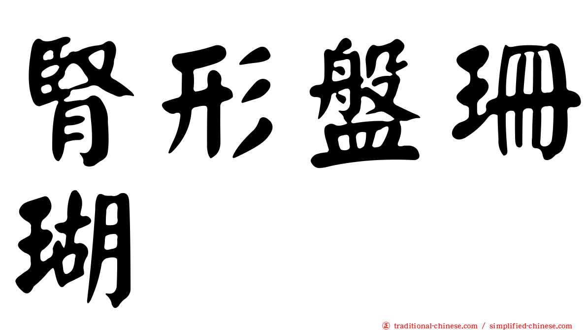 腎形盤珊瑚