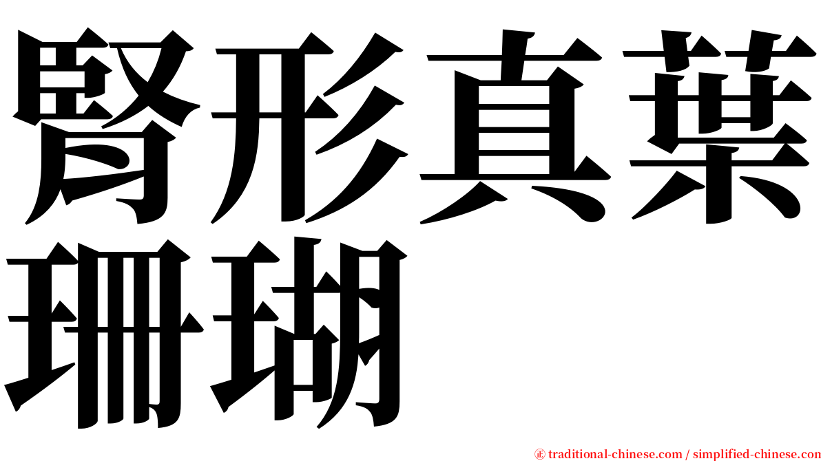 腎形真葉珊瑚 serif font