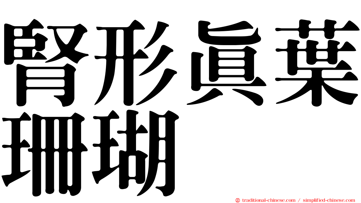 腎形真葉珊瑚