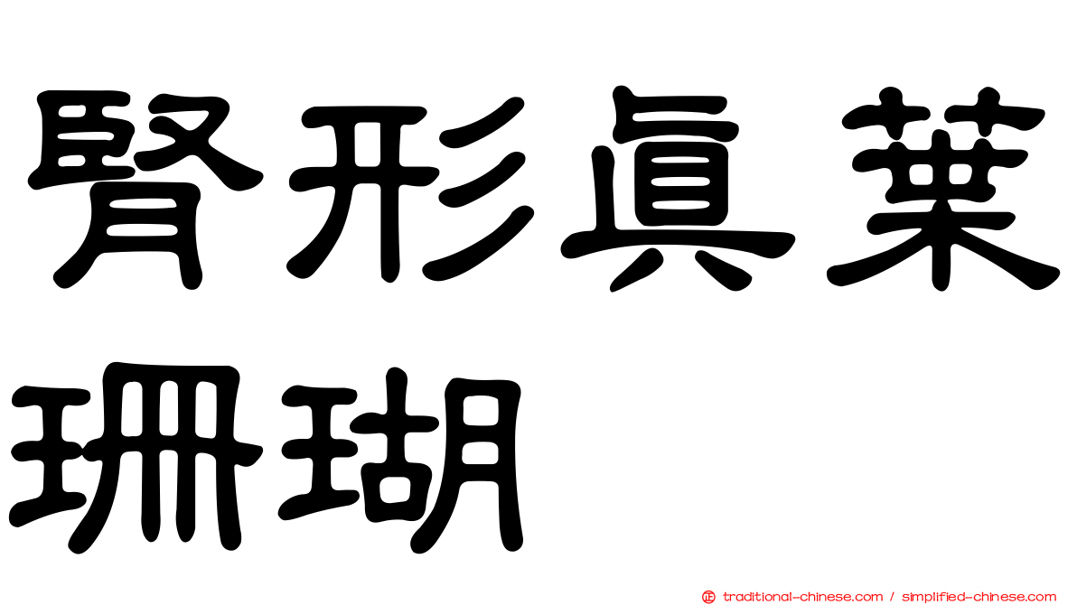 腎形真葉珊瑚