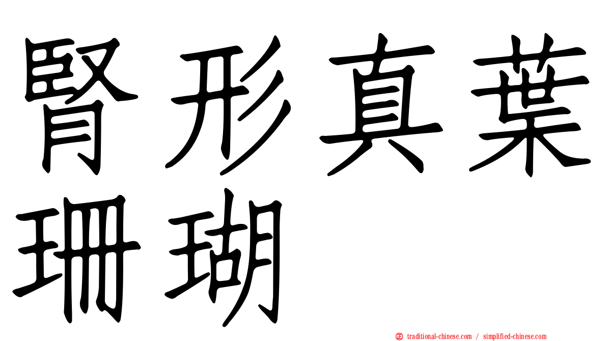 腎形真葉珊瑚