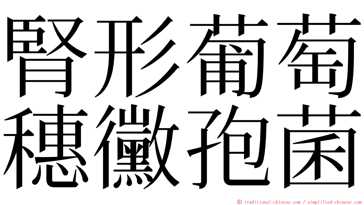 腎形葡萄穗黴孢菌 ming font