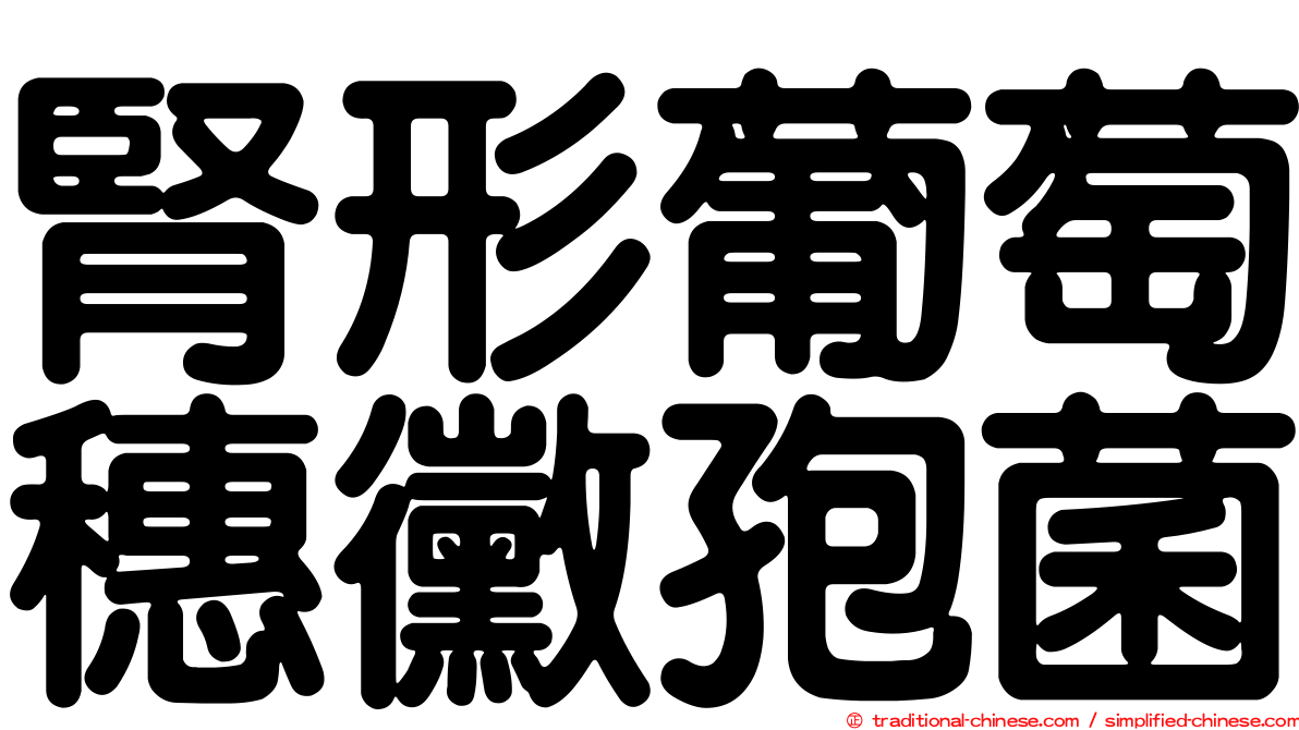 腎形葡萄穗黴孢菌