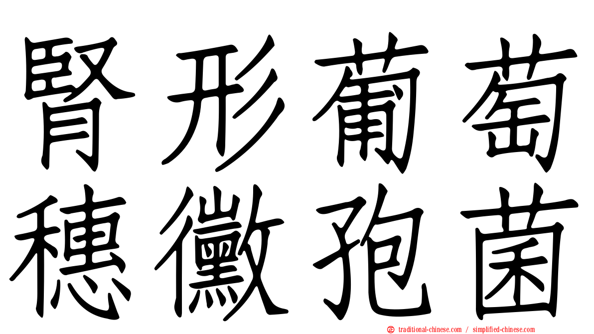 腎形葡萄穗黴孢菌