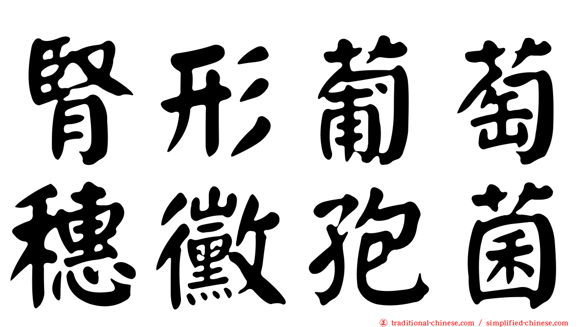 腎形葡萄穗黴孢菌